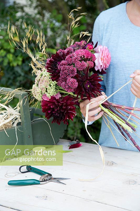 Femme attachant le bouquet de fleurs du jardin, Sedum, Dahlia, Rosa, Stipa