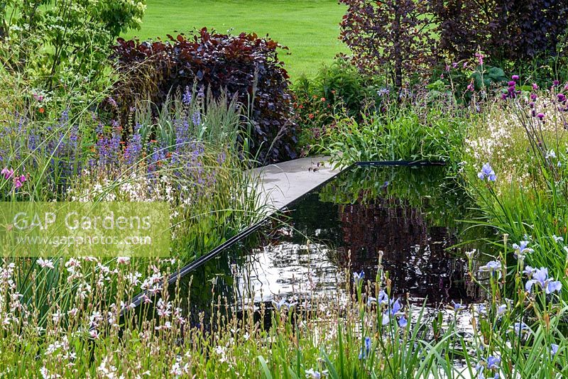 Jardin clos de vivaces et de graminées - The Brewin Dolphin Garden - RHS Chatsworth Flower Show 2017 - Designer: Jo Thompson - Best Free Form Garden