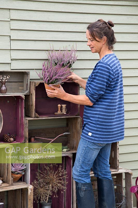 Femme rempoter des plantes pour ajouter sur le stockage de caisse en bois vintage