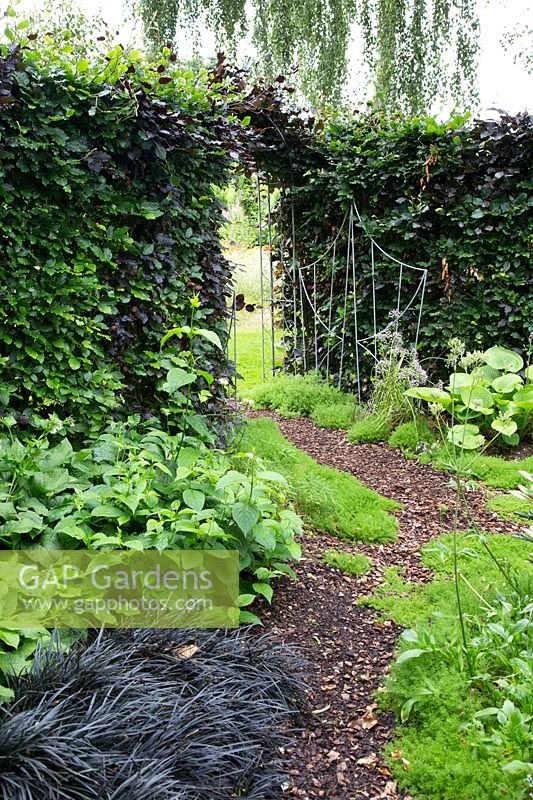 Jardin ombragé avec couvre-sol de camomille et chemin d'écorce conduisant à l'arche en haie avec porte métallique