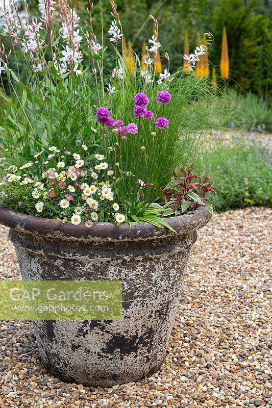 Grand pot dans un jardin de gravier planté de mélange balnéaire de Gaura, Erigeron, Armeria, Fuchsia et Stipa