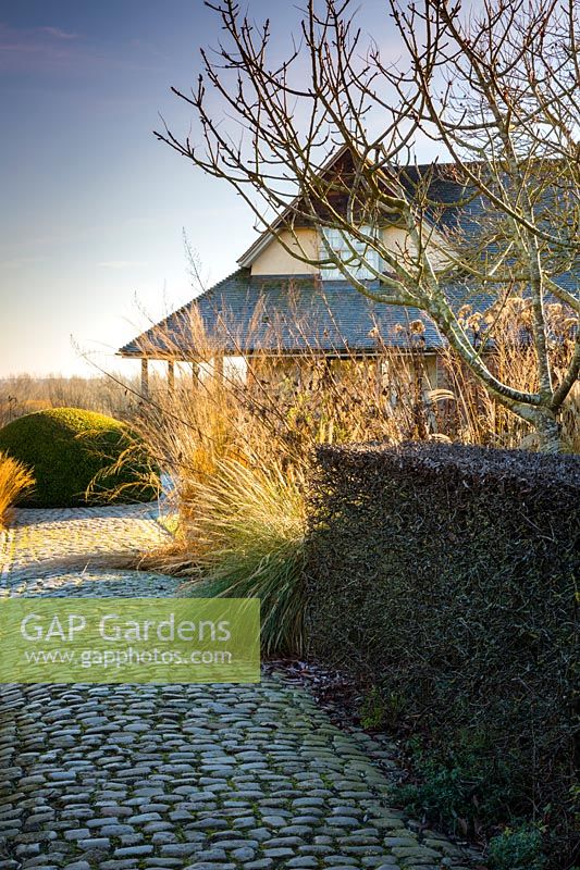 Voies pavées, topiaire et herbes dans le jardin de la cour à Bury Court Gardens, Hampshire, Royaume-Uni. Conçu par Piet Oudolf et John Coke.