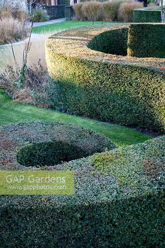If en forme de spirale à Bury Court Gardens, Hampshire. Conçu par Piet Oudolf.