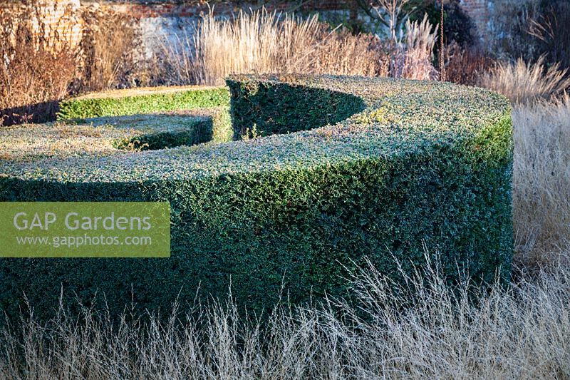 If en forme de spirale à Bury Court Gardens, Hampshire, Royaume-Uni. Conçu par Piet Oudolf.