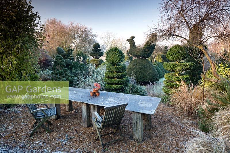 Table et chaises et topiaire if et boîte à Charlotte et Donald Molesworth's garden, Kent, UK.