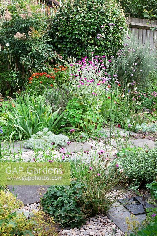 Un petit jardin de chalet moderne à faible entretien planté de vivaces auto-ensemencées.