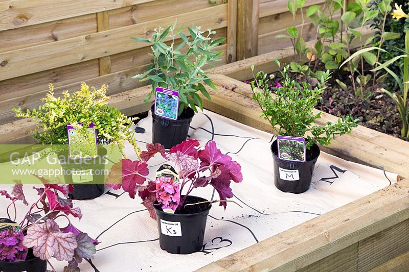 Plantes en pot étiquetées et placées sur un plan papier prêt pour le jardin sur un parterre de fleurs en rouleau