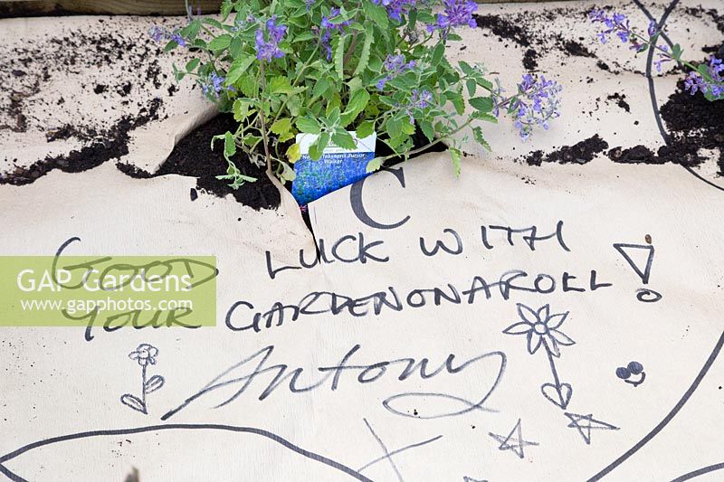 Salutation d'Antony au jardin sur un rouleau sur le plan papier fourni avec les plantes