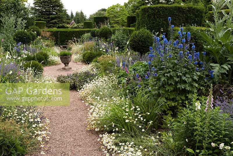 Le jardin herbacé bleu et blanc