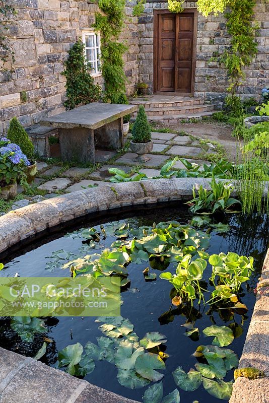 Coin salon dans un jardin de style espagnol avec Hydrangea macrophylla 'Forever Blue' en pot et étang avec des nénuphars - Le jardin secret du Pazo. RHS Hampton Court Flower Show, 2017 - Designer: Rosie McMonigall. Sponsor: Turismo de Galicia, Nord de l'Espagne.