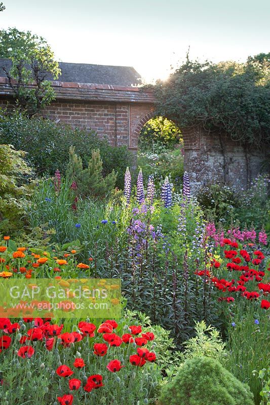 Affichage de pots décoratifs colorés mélangés au printemps, y compris Papaver, Calendula, Antirrhinum majus et Lupinus le long de l'arcade dans le mur. Great Dixter, Sussex