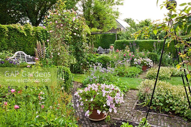 Parterres de fleurs et de légumes de juin avec Surfinia Petunias en pot - Jardin Hetty van Baalen, Pays-Bas