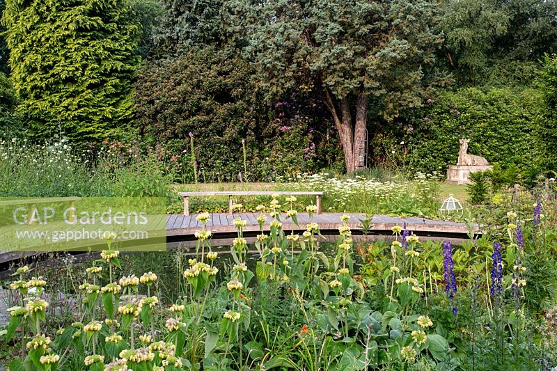 Phlomis russeliana à côté de l'étang dans le jardin conçu par Tom Hoblyn à Heatherbrae