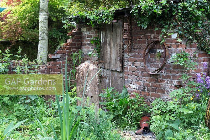 Le World Horse Welfare Garden, abri délabré à l'arrière du jardin avec des plantations de fleurs sauvages, y compris l'aîné, Linaria purpurea, le plantain, le lierre sur le toit, la roquette et les orties. RHS Chelsea Flower Show 2017