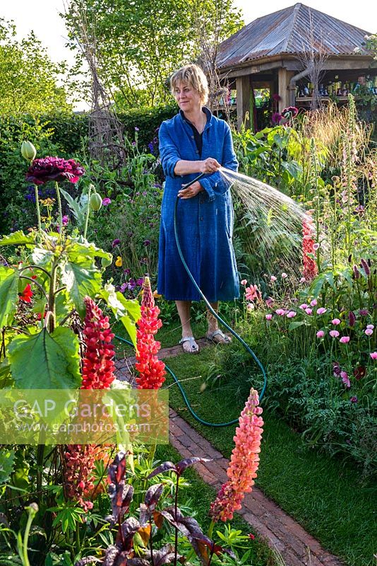 Sarah Raven Arroser des fleurs avec un tuyau - Le jardin de coupe de couleur de riz Anneka - RHS Chelsea Flower Show 2017