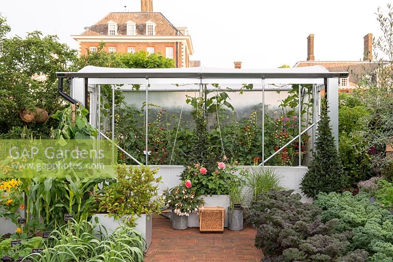 Le Chris Evans Taste Garden - Chemin de briques menant à une serre ouverte avec des tomates, du chou frisé, des poireaux et du maïs doux - RHS Chelsea Flower Show 2017