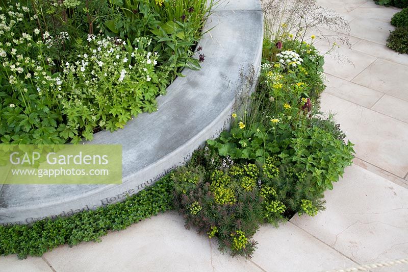 Vue du coin salon incurvé, entouré de plantes boisées - - 'The Jo Whiley Scent Garden' RHS Chelsea Flower Show 2017 - Designers: Tamara Bridge et Kate Savill - Sponsor: RHS