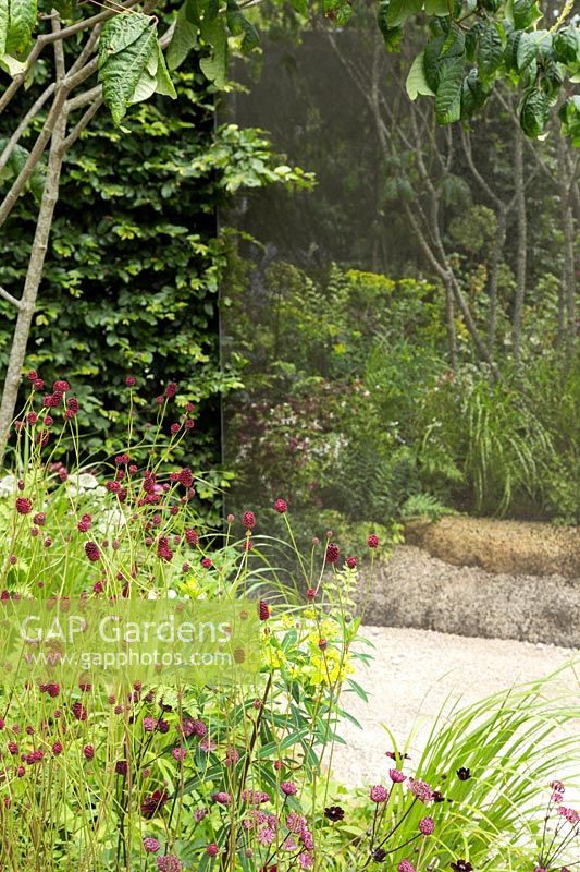 Un point de vue différent - Un jardin ombragé avec des panneaux de miroir en verre - RHS Hampton Court Flower Show 2015