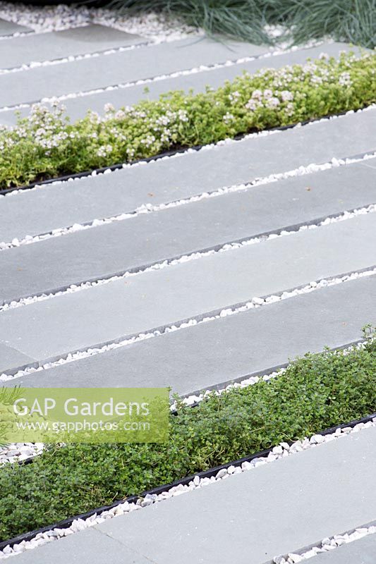 Planches de pierre grise et terrasse en gravier plantée de rangées de thym - Paysage vivant: guérison du jardin urbain - RHS Hampton Court Palace Flower Show 2015