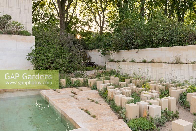 Blocs de calcaire maltais et plantation méditerranéenne avec Euphorbia spinosa - Le jardin M et G - RHS Chelsea Flower Show 2017 - Designer: James Basson, sponsor des investissements M et G