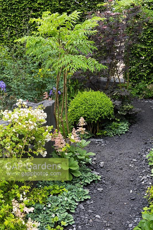 Vue sur chemin de béton foncé - Le jardin Linklaters pour Maggie's - RHS Chelsea Flower Show 2017 - Designer: Darren Hawkes