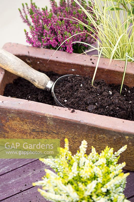 Planter un pot d'hiver avec des bruyères et des herbes - scoop avec du compost