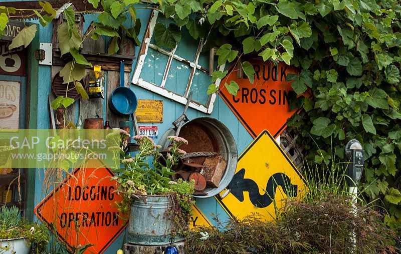 Signes sur un hangar avec Vitis et Sedum