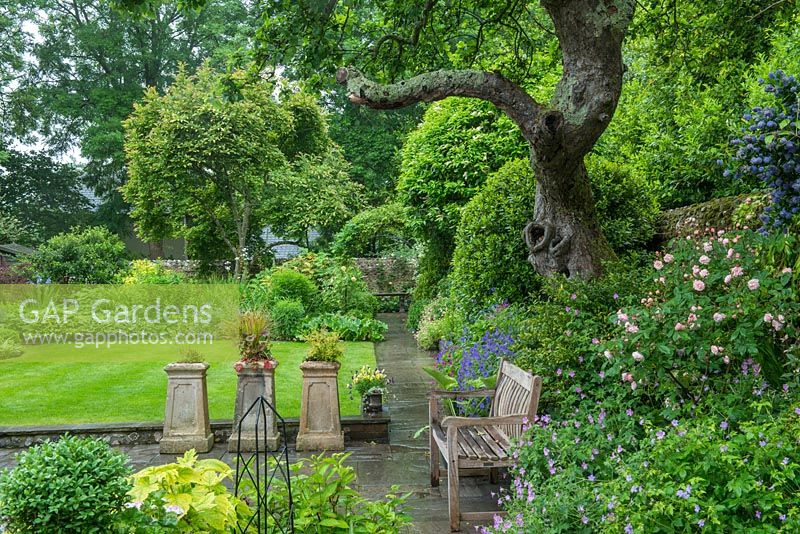 Terrasse menant à la pelouse et au jardin avec une pelouse bien tondue entourée de parterres de fleurs mélangés conçus pour inclure des plantes qui prospèrent à mi-ombre