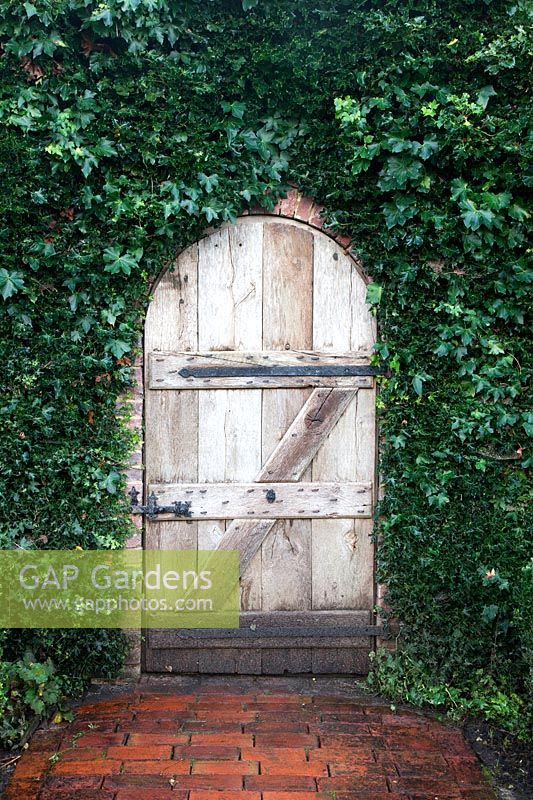 Entrée recouverte de lierre avec porte en chêne rustique au jardin potager clos - Brightling Down Farm.