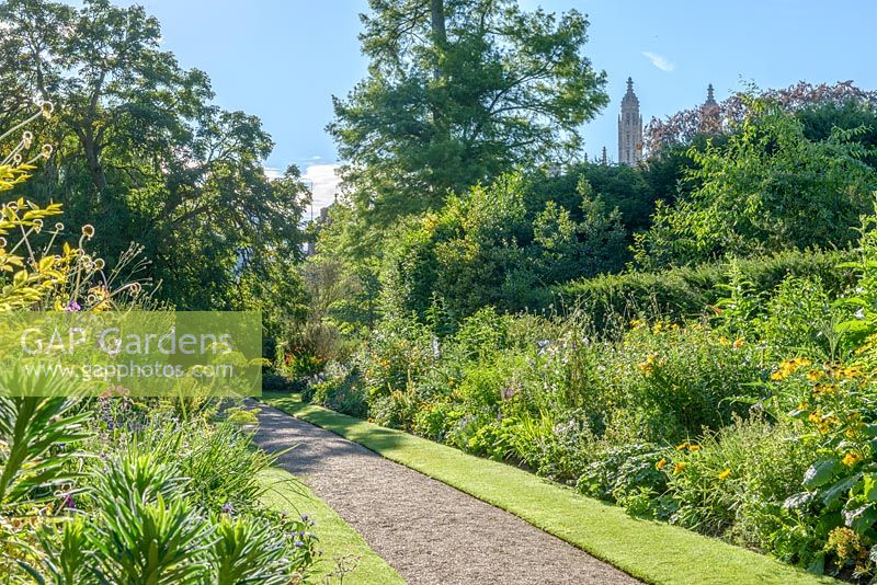 Parterres de plantes herbacées avec chemin de gravier et bordure d'herbe. The Fellows Garden, Clare College, Cambridge.