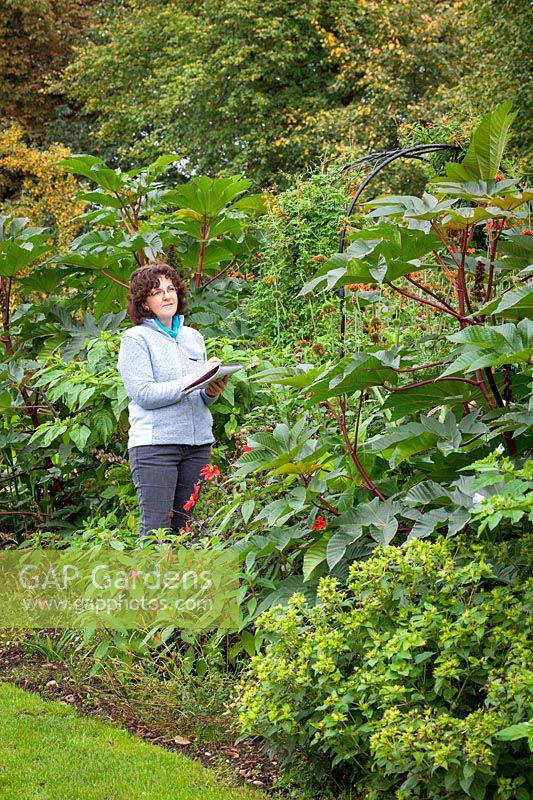 Prendre des notes dans un parterre de fleurs exotiques, octobre