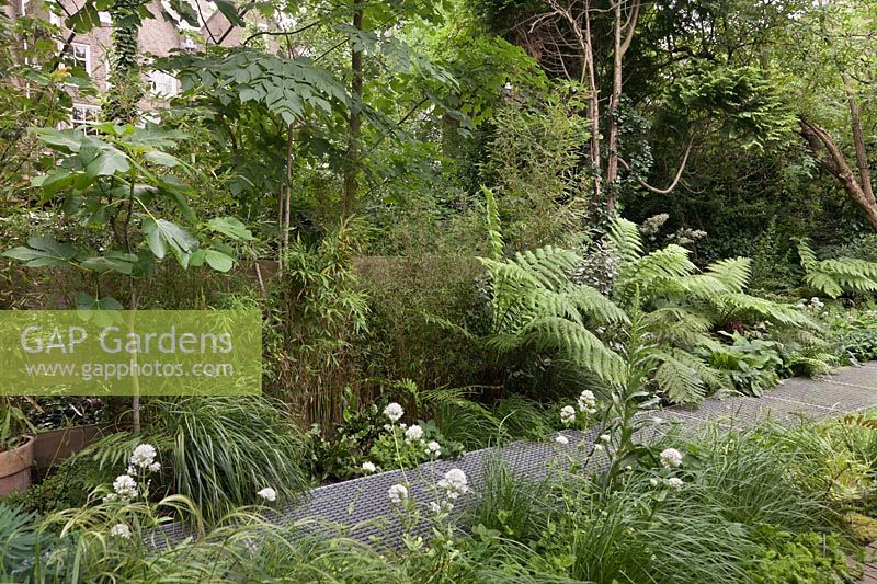 Dallage en treillis métallique dans un jardin ombragé tout vert avec des bambous et des fougères - juin