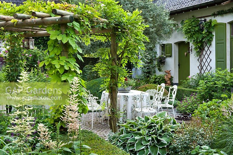 Cour avec pergola, parterres d'été et terrasse. Rodgersia aesculifolia, Hosta, Clematis. Jardin Dina Deferme
