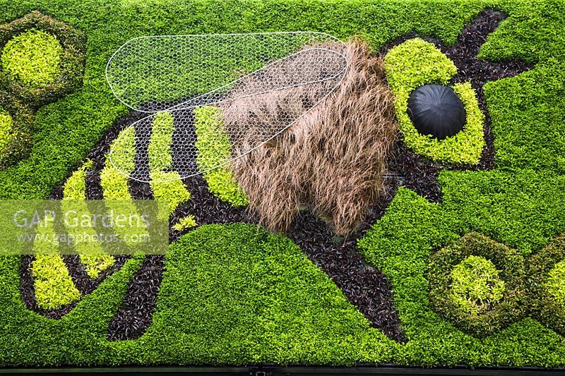 Sculpture d'abeille et nid d'abeille conçue avec Alternanthera et ornementales, Canada
