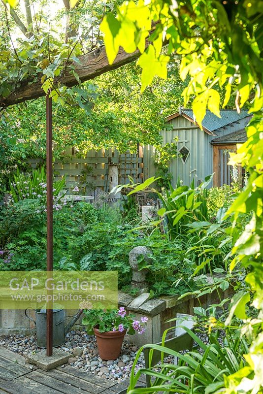 Petit jardin de ville au printemps avec abri de jardin ornemental, vigne cultivée sur poutre en chêne rustique récupéré, parterres de fleurs surélevés en briques et en pierre récupérées. Mai