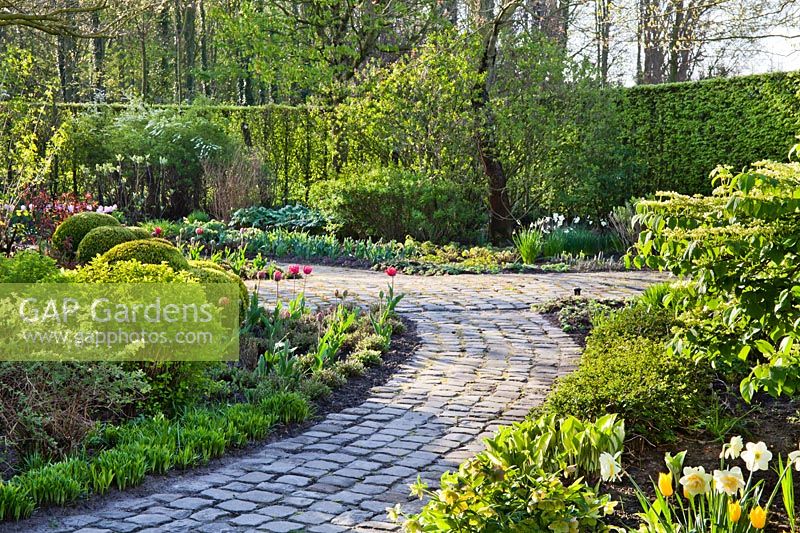 Jardin printanier avec chemin menant à travers des parterres de tulipes, jonquilles, boîte topiaire et vivaces émergentes. Jardin Laura Dingemans