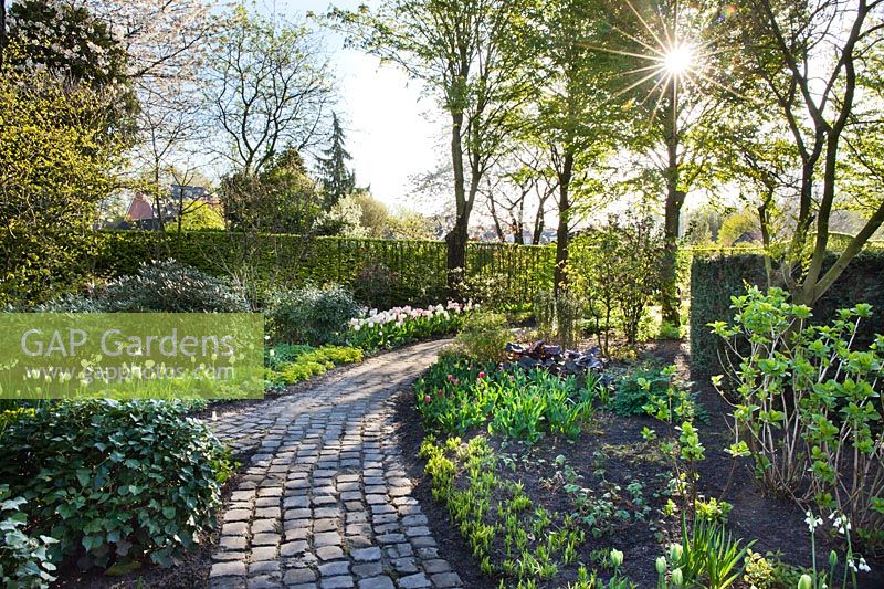 Jardin de printemps avec chemin menant à travers des parterres de tulipes et de vivaces émergentes. Jardin Laura Dingemans, avril