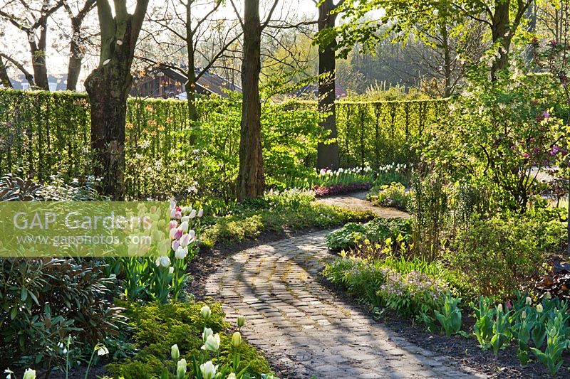 Jardin de printemps avec chemin menant à travers des parterres de tulipes et de vivaces émergentes. Jardin Laura Dingemans, avril.