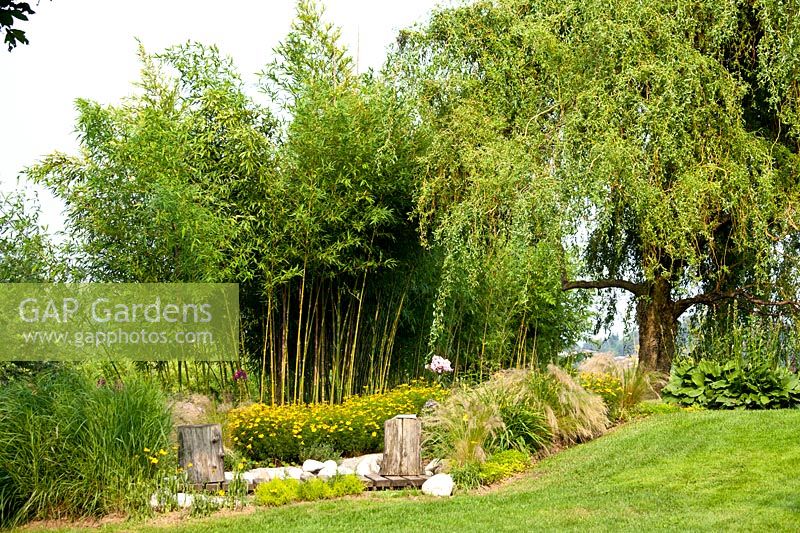 Jardin avec Stipa tenuissima 'Pony trails', Carex morrowii et Hypericum perforatum - Beretta Kastner architetti. Monza. Italie