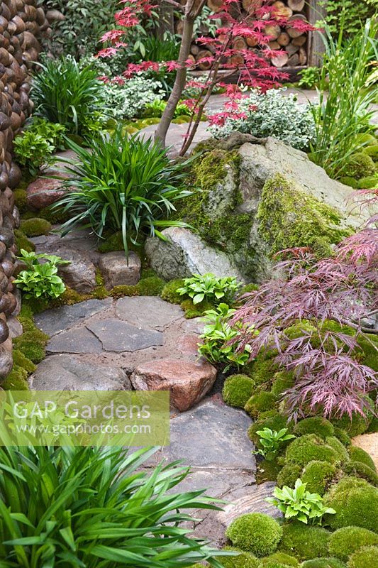 Chemin de pierre et étapes dans le jardin japonais avec Liriope muscari et érables japonais, Satoyama Life, Best Artisan Garden and Gold Medal, RHS Chelsea 2012.