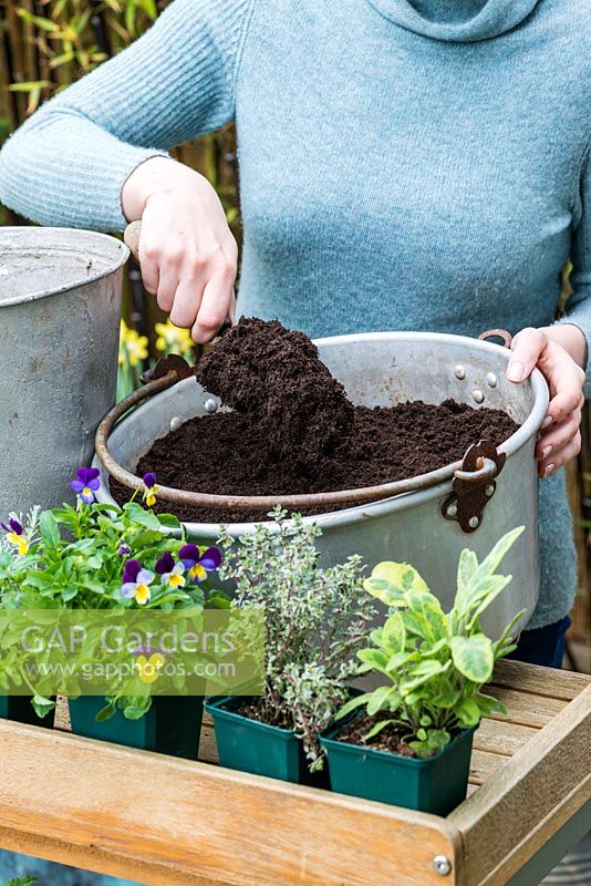 Remplissez la casserole de compost tout usage - Plantation de conserves de pan aux herbes
