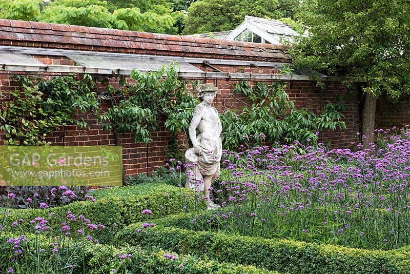 Une statue classique surplombe un parterre formel planté de Verbena bonariensis.