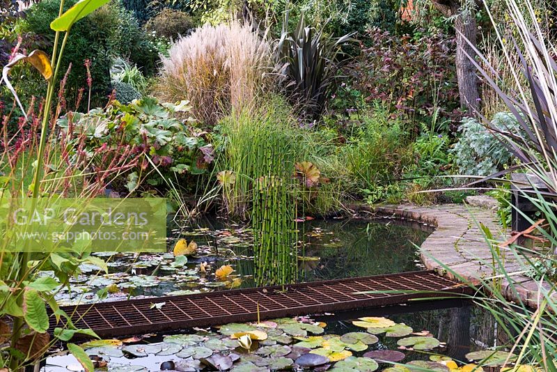Petit étang faunique de forme libre, traversé par une passerelle en fer. Bordé de bistort, de rheum et d'herbes.