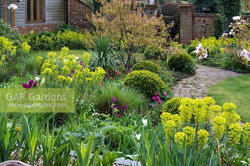 Voir le long du chemin d'accès à la porte du jardin sur les parterres de printemps de tulipes, d'euphorbes, de boules, de cordyline et d'amélanchier à feuilles de bronze.
