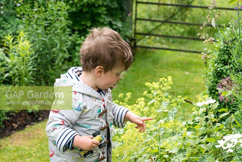 Le petit-fils de Sue et Clive Lloyd, Albert, deux ans, pointe du doigt un insecte dans son jardin.