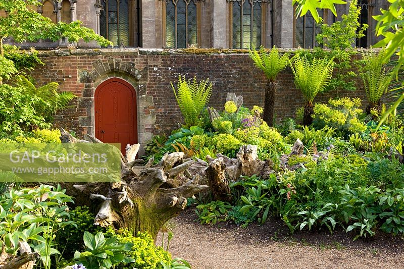 Le Stumpery, le jardin Collector Earls, Château d'Arundel, West Sussex, mai