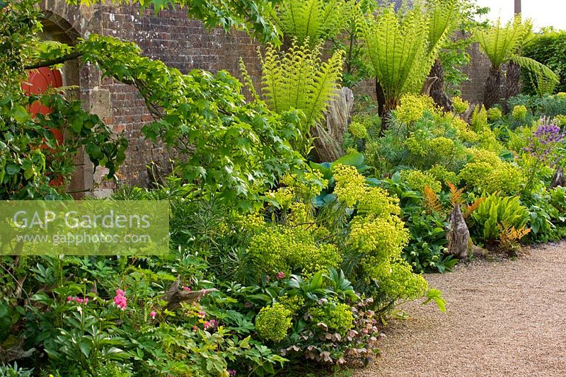Une fin du printemps, parterre de fleurs fortifié avec des fougères arborescentes et Euphorbia dans le Collector Earls Garden: The Stumpery, Arundel Castle, West Sussex