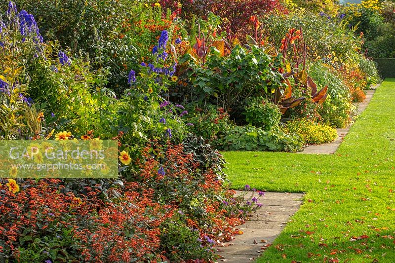Parterre de fleurs avec des aconitums, Dahlia 'Moonfire', Salvia elegans 'Honey Melon' - Bourton House Garden, Gloucestershire