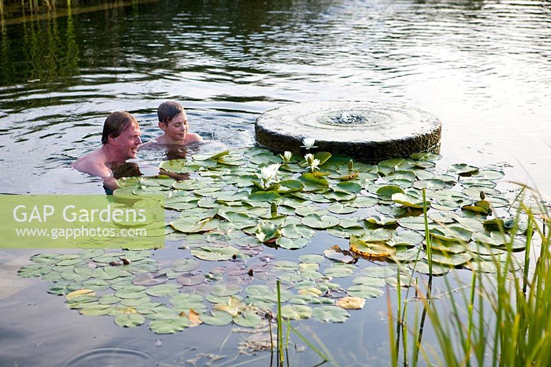 Homme et garçon dans une piscine 'naturelle' regardant des nénuphars