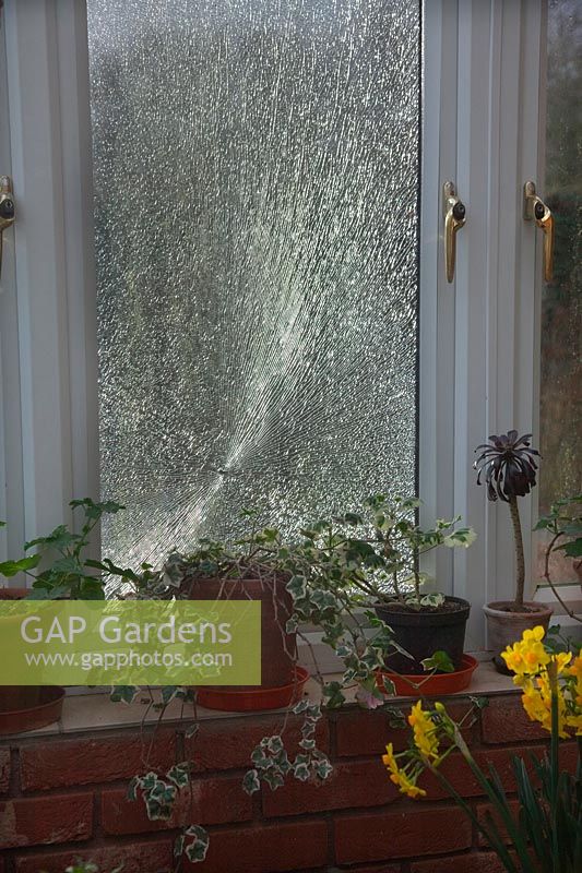 Fenêtre de véranda cassée causée par la pierre projetée par la tondeuse rotative